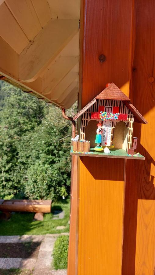 Ferienhaus Barbey Санкт Блазиен Екстериор снимка