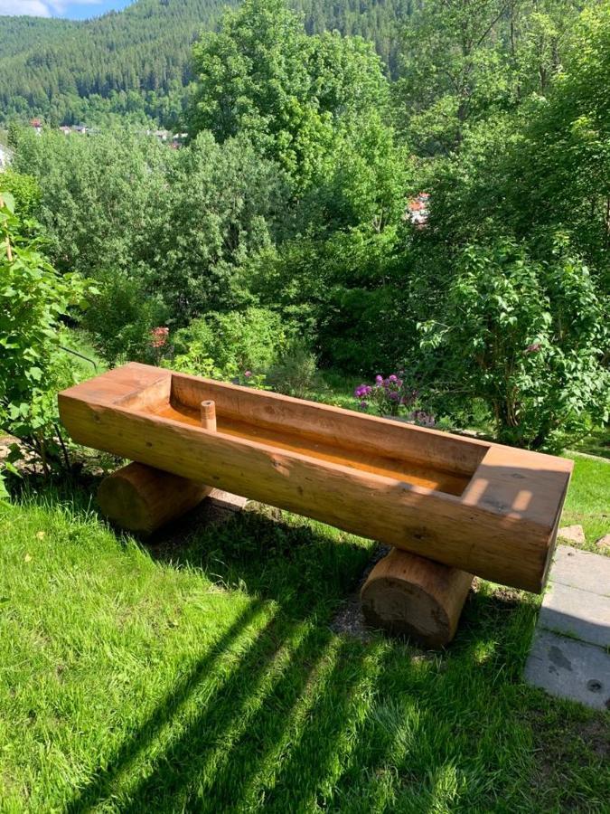 Ferienhaus Barbey Санкт Блазиен Екстериор снимка