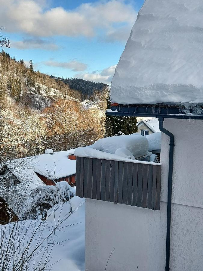 Ferienhaus Barbey Санкт Блазиен Екстериор снимка